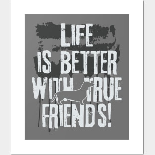 Life is better with true friends - dachshund 2 Posters and Art